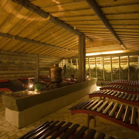 Otel Wellnesshotel Mitterwirt